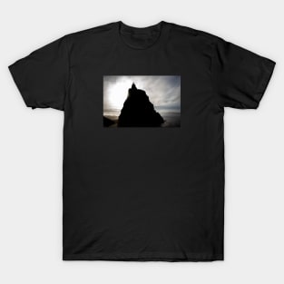 Portland Rocks T-Shirt